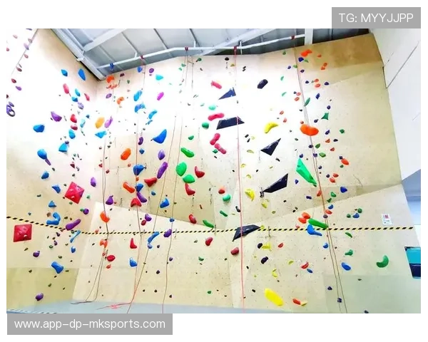 _青少年极限攀爬赛：从低难度到高挑战_，青少年攀岩比赛规则